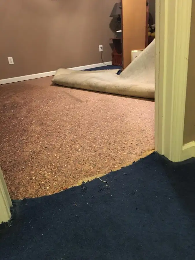 Carpet pad removal revealing water damage during Water Mitigation Services in Michigan City