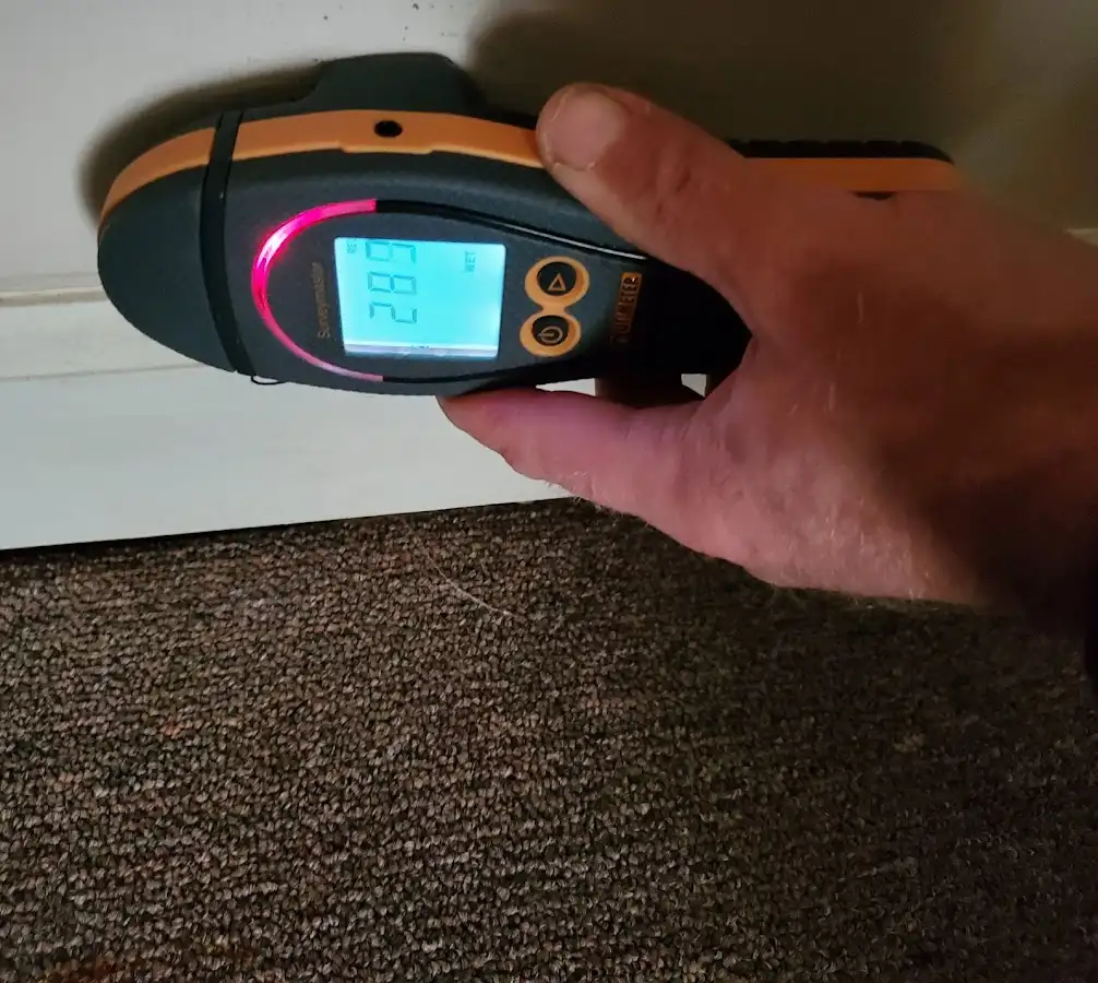 Moisture detection at baseboard during Mold Inspection & Testing in Michigan City